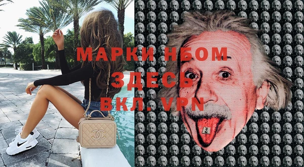 гидропоника Карталы