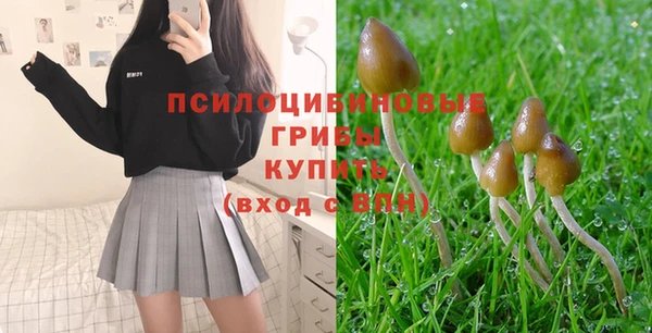 дурь Касимов