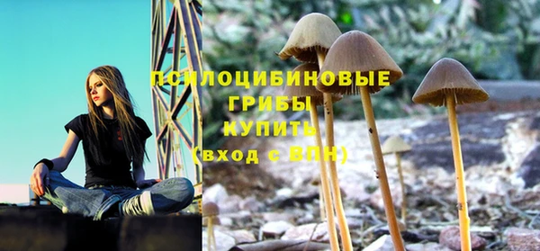 гидропоника Карталы