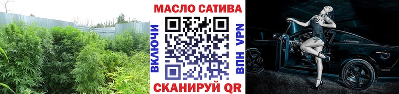 Купить где  Нижнеудинск  ТГК гашишное масло 