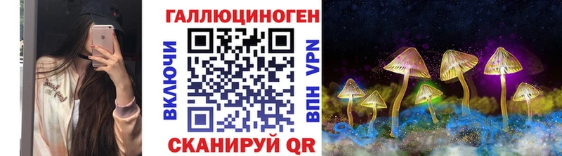 Псилоцибиновые грибы Cubensis  Купить где  Нижнеудинск 